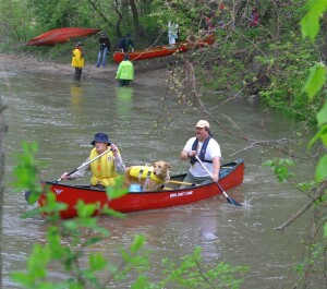 paddledog2W-April-10-3256