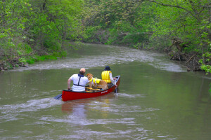 paddledog3W-April-10-3263