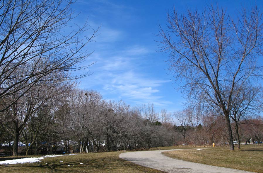 cirrus clouds